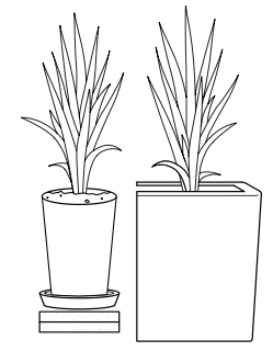 indoor planting instruction guide